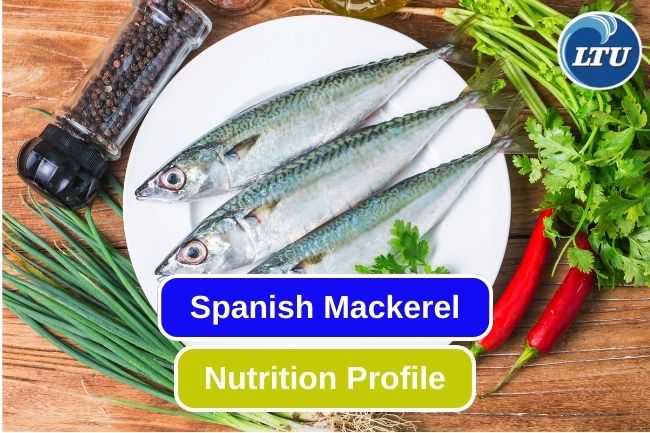 Good Nutrition You Can Get From Spanish Mackerel